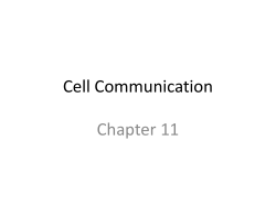Cell Communication