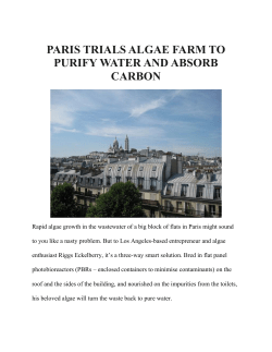 paris trials algae farm to purify water and absorb carbon