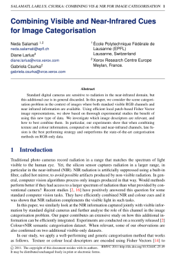 Combining Visible and Near-Infrared Cues for Image Categorisation