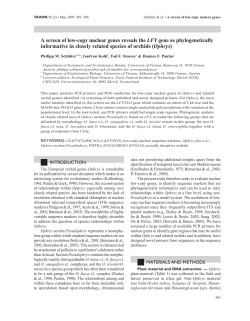 A screen of low-copy nuclear genes reveals the LFY gene as