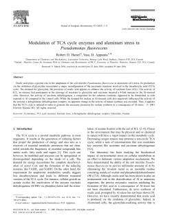 Modulation of TCA cycle enzymes and aluminum stress in