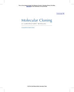 Molecular Cloning