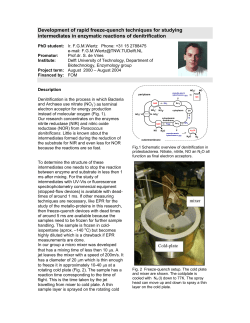 Development of rapid freeze-quench techniques for studying