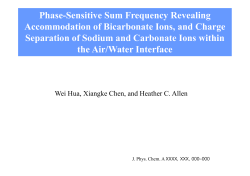 Phase-Sensitive Sum Frequency Revealing Accommodation of
