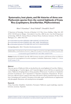 Systematics, host plants, and life histories of three new Phyllocnistis