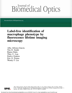 Label-free identification of macrophage phenotype