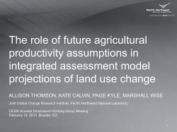 The role of future agricultural productivity assumptions in integrated