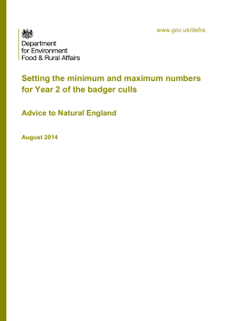 badger population was estimated