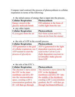 Compare Cell Respiration with Photosynthesis