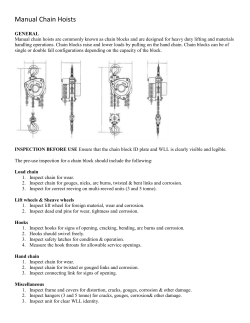 Manual Chain Hoists