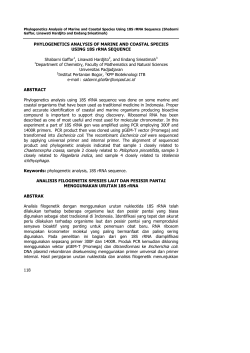 Identification of Marine Organisms used as Traditional Anti Aging