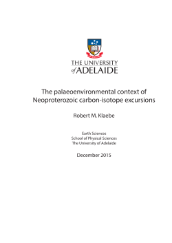 The palaeoenvironmental context of Neoproterozoic carbon