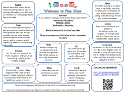 Pine curriculum overview 2016 2017