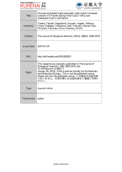 Title Glucose-stimulated single pancreatic islets sustain increased