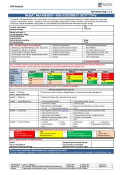 Hazard Management - Short Form Risk Assessment (.doc)