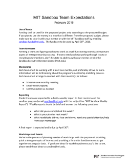 MIT Sandbox Team Expectations