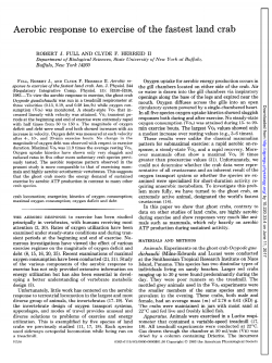 Aerobic response to exercise of the fastest land - Poly