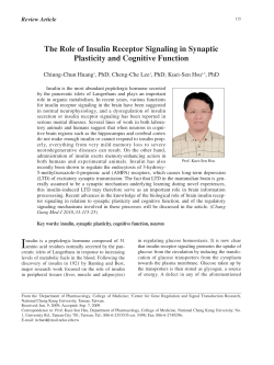 The Role of Insulin Receptor Signaling in Synaptic Plasticity and