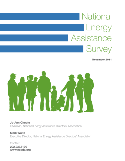 National Energy Assistance Survey