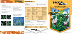 CD Archive 441 - Bayer Crop Science Australia