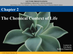 Chapter 2