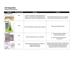 Cell membrane