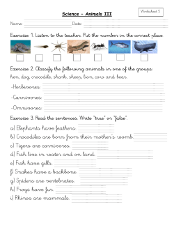-Herbivores: -Carnivores: -Omnivores: a) Elephants have feathers. b