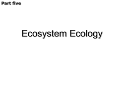 assimilation efficiency 同化效率A e = A n / I n production efficiency