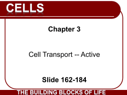 Cell Structure and Function