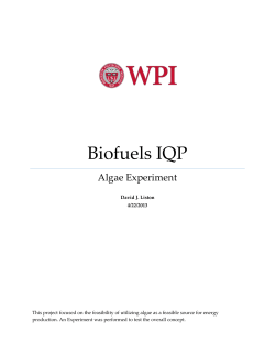 Biofuels IQP