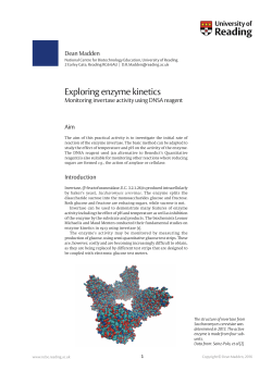 Exploring enzyme kinetics -