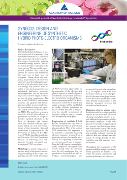 SYNECO2: DESIGN AND ENGINEERING OF SYNTHETIC HYBRID