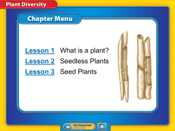 Plant Classification