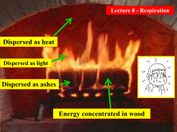 N.S. 100 Lecture 8 - PPT Respiration Assignment Page