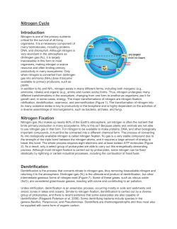 Biogeochemical Cycles File