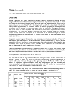 Maize (Zea mays L.) Crop data