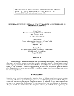 Figure 1 - Corrosion evident in a type I