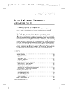 RICE AS A MODEL FOR COMPARATIVE GENOMICS OF PLANTS