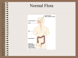 Normal Flora of the Skin