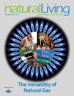 The Versatility of Natural Gas