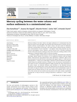 Mercury cycling between the water column and surface sediments in