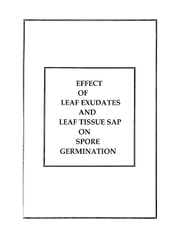 effect of leaf exudates and leaf tissue sap on spore