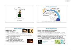 Topic 2 The primordial soup