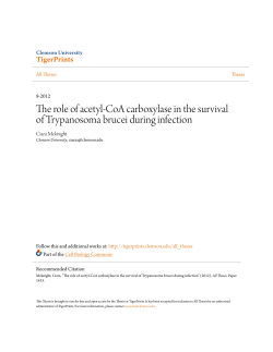 The role of acetyl-CoA carboxylase in the survival of