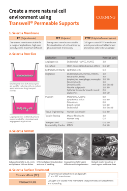 Create a more natural cell environment using Transwell