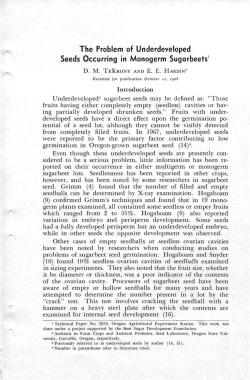 The Problem of Underdeveloped Seeds Occurring in Monogerm