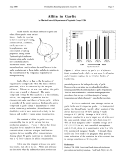 Alliin in Garlic