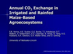 Annual CO2 Exchange in Irrigated and Rainfed Maize