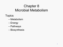 Metabolism - HCC Learning Web