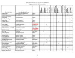 "Host Plants for Frequently Seen Sarasota Butterflies" Alphabetical